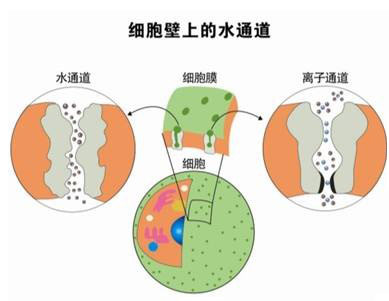 币游·国际(中国)官方网站