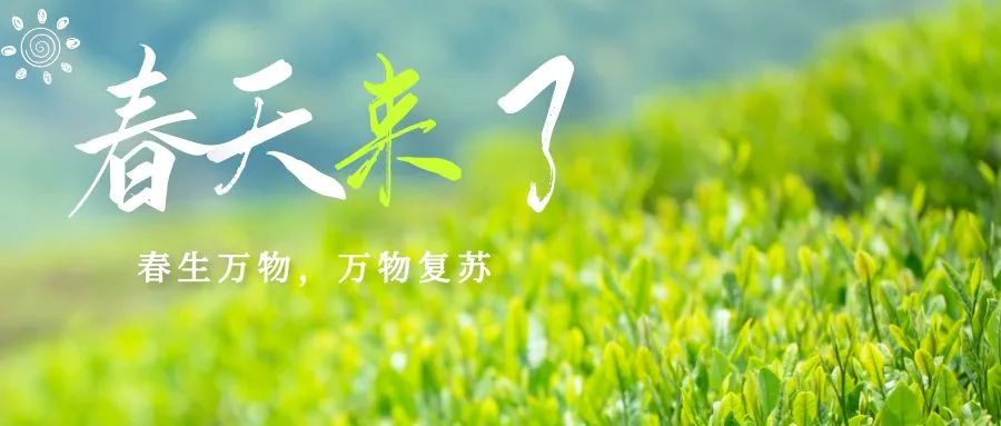 币游·国际(中国)官方网站